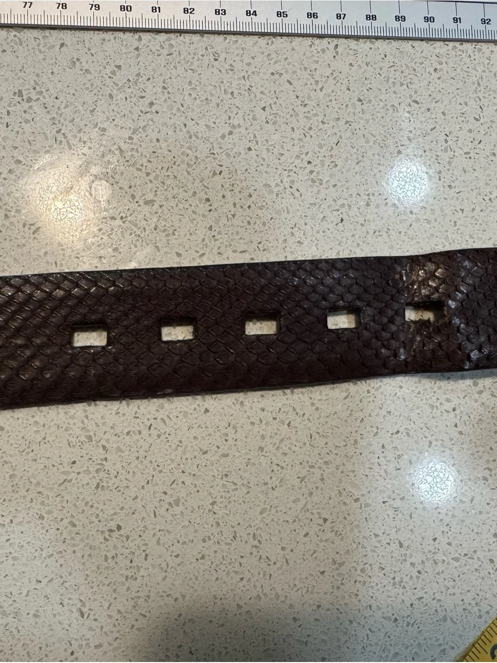 W. Kleinberg Genuine Python‎ Snakeskin Belt Brown Silver Buckle